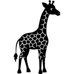 giraffe vector illustration