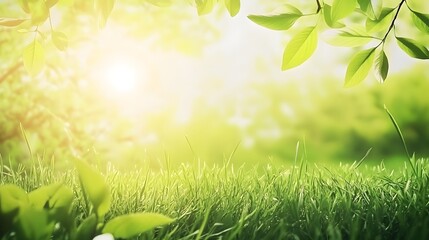 A spring day with a green grass meadow, bright sunlight, tree leaves, and a warm color background with copy space. 