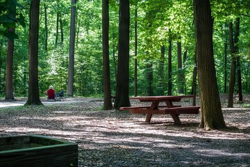 Forest scene picnic table, person in distance, sunlight filtering