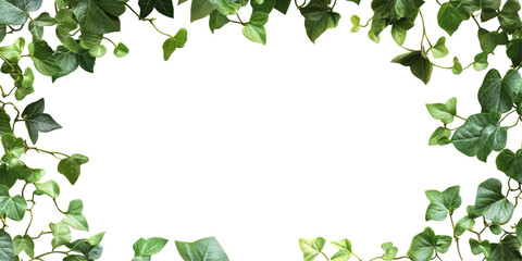 Fototapeta premium Vibrant green leaves create a natural frame isolated on transparent background