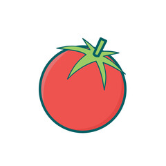 tomato vector illustration