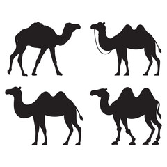 Flat Design Vector of Camels Walking Through the Dunes
