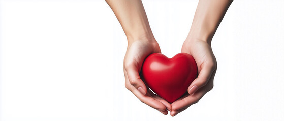 Fototapeta premium Woman's hands holding a red heart