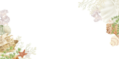 Seashells and wavy algae on a horizontal postcard. Digital watercolor illustration. Corals, starfish and underwater spiral shells, isolated on a white background. For marine design.