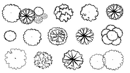 Vector set of Top view tree for outdoor plan or map and architecture drawing, elements for environment and garden ,botanical elements ,Blooming spring,tropical plants element,freehand sketch   © Chanya_B