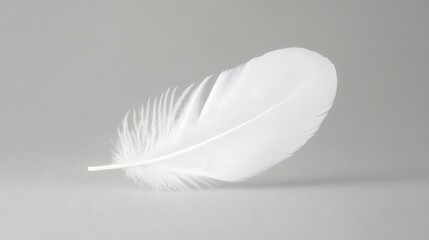Obraz premium white feather floats delicately on plain neutral background