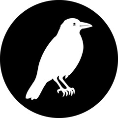 Elegant silhouette of a white raven on a black circle minimalist illustration