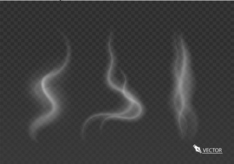 Realistic Smoke Steam Fog Effects Set