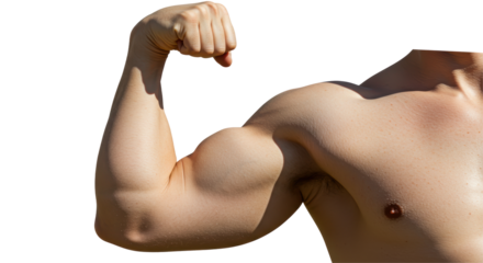 Isolated Muscular Arm Flexing Bicep in Display of Strength