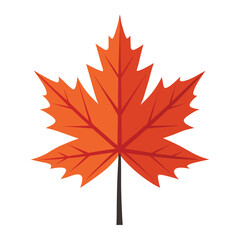 Fototapeta premium A vector illustration of Maple Leaves isolated on white background