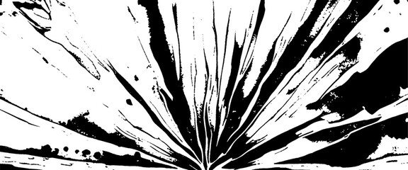 Vector modern black circular starburst explosion texture. 