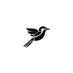 Fototapeta premium vector illustration of a bird