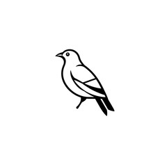 vector illustration of a bird