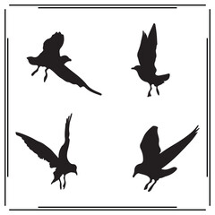 Albatross silhouette, Albatross illustration ,Albatross clipart, Albatross vector , Albatross icon , black Albatross ,Albatross illustration on white background, Albatross vector illustration ,
