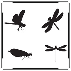 Dragonfly silhouette, Dragonfly illustration ,Dragonfly clipart, Dragonfly vector , Dragonfly icon , black Dragonfly, Dragonfly illustration on white background,