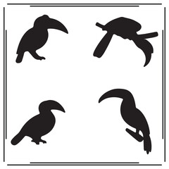 Hornbill  silhouette, Hornbill illustration ,Hornbill clipart, Hornbill vector , Hornbill icon , black Hornbill, Hornbill illustration on white background,