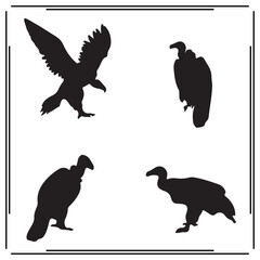 Vulture silhouette, Vulture illustration ,Vulture clipart, Vulture vector , Vulture icon , black Vulture, Vulture illustration on white background,