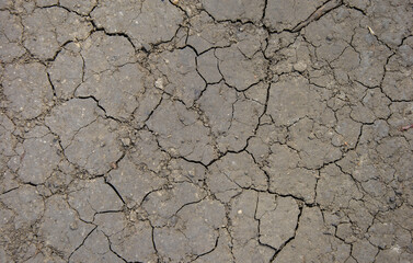 texture of dry cracked soil. dry cracked earth