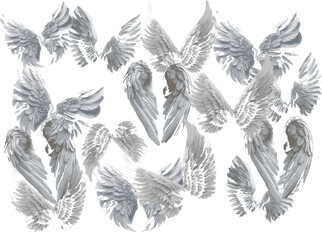 gray angel wings on white background, wings pattern