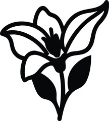 calendula, canna lily flower, Buttercup, Baby’s Breath (Gypsophila), carnation, celosia, chrysanthemum, clematis, coreopsis, cornflower, crocus, daffodil, dahlia, daisy, delphinium, flower logo