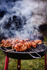 Grilled Meat Skewers Smoking on Charcoal BBQ Grill