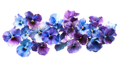 Top View of Violets Arranged in a Loose Cluster Isolate on Transparent Background, cutout, png