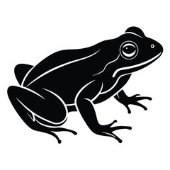 frog on white background vector illustration