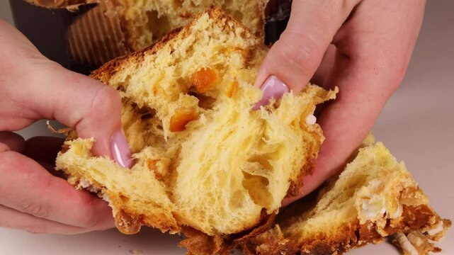 Squeezing a piece of fresh Panettone in hands, showing airy, fluffy texture and candied fruit inside