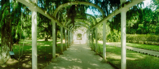 Pathway in a botanical garden, Jardim Botanico, Zona Sul, Rio de Janeiro, Brazil.