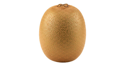 Fototapeta premium Isolated Kiwi Fruit