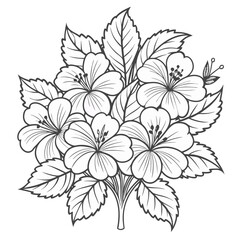 Hibiscus Flower Illustration