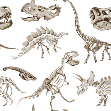  Seamless pattern dinosaur skeletons. Traceratops, Theranosaurus and Diplodocus skulls. Different types of dinosaurs. Bones and fossils. Watercolor illustration. Hand drawn