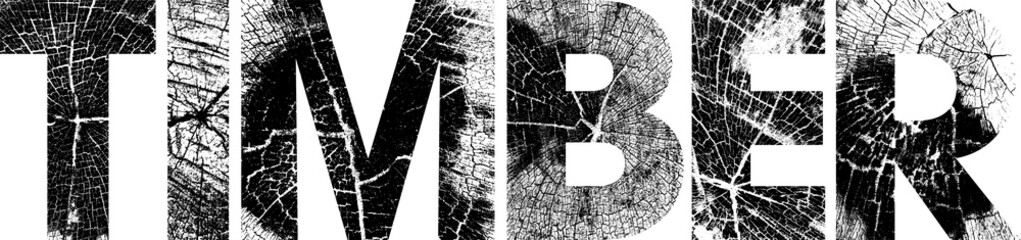 Large timber typographic heading featuring tree ring textures and a transparent background