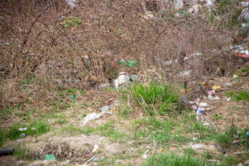 garbage in the forest