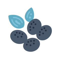  Stylish Basil Seeds Graphic for Recipes