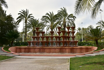 Palmeral Palm Grove Palm Orchards