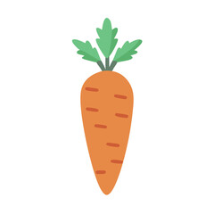  Charming Carrot Graphic for Cooking