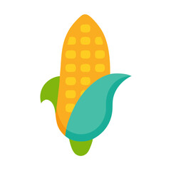  Corncob Icon for Farming Freshness