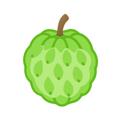  Charming Custard Apple Graphic for Marketing
