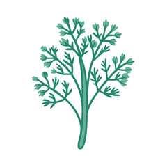 Fototapeta premium Elegant Dill Design for Gourmet Meals
