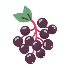  Charming Elderberry Graphic for Desserts