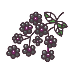  Stylish Elderberry Representation for Juices