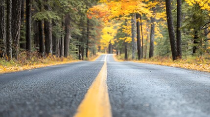 Obraz premium Serene Autumn Road Surrounded by Colorful Trees and Golden Leaves in the Forest