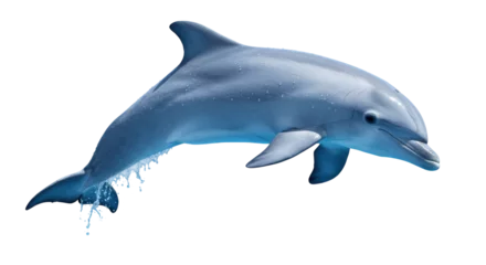 Fotobehang Dolfijn Isolated Dolphin Leaping Out of Water  © Gabriela