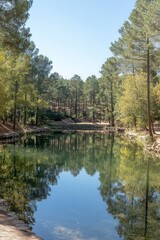 Fototapeta premium Serene forest lake reflecting pines