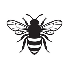 bee vector illustration eps 10