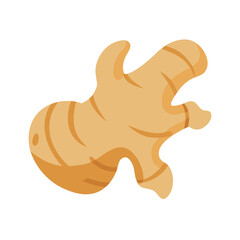  Exotic Galangal Root Culinary Icon