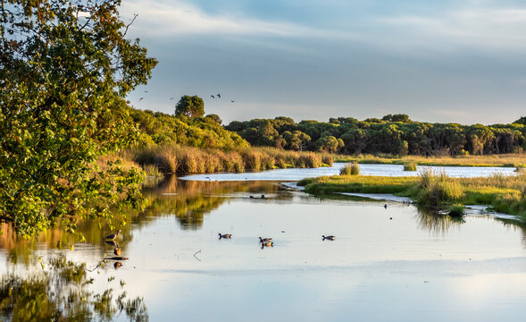 Yanchep national park in Perth Western Australia	