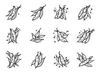 Obraz premium Edamame line art 