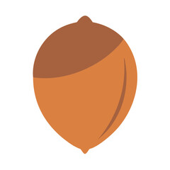  Hazelnut Vector for Baking Treats